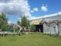 5 dino parkas, dinozauru parkas vilniuje
